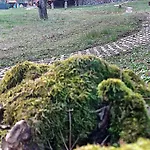 בקתה Forest Sauna Retreat Pukanec