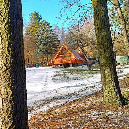 Forest Sauna Retreat Domek alpejski Pukanec