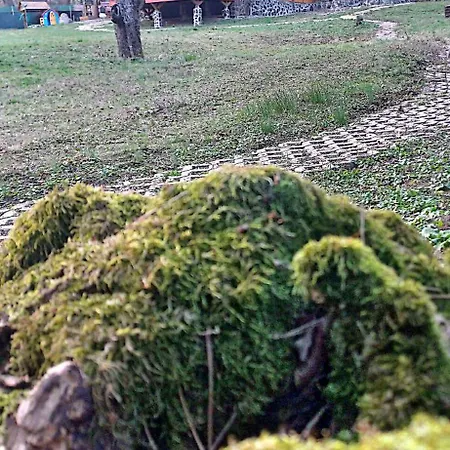 Alpesi faház Forest Sauna Retreat Bakabánya